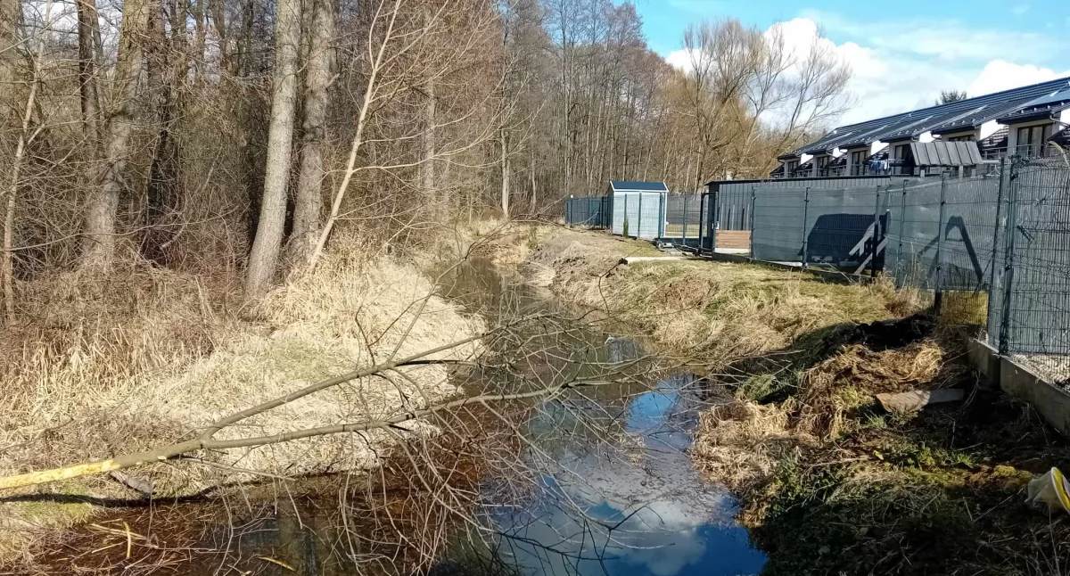  Mieszkańcy ul. Wspólnej proszą o pomoc: Bobry nam szkodzą a nikt nie reaguje!