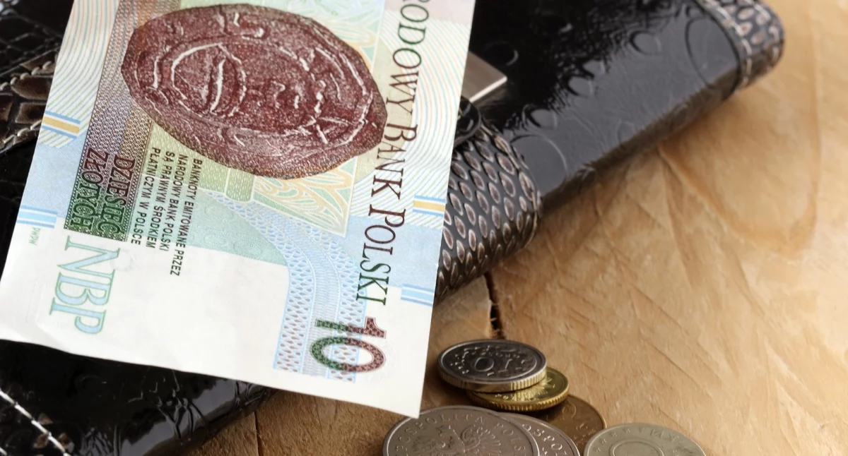 Wyższe diety dla radnych i sołtysów w gm. Mirzec
