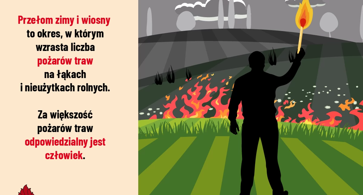 Pożar w okolicach galerii Galardia w Starachowicach. Płonęło ok. 40 arów
