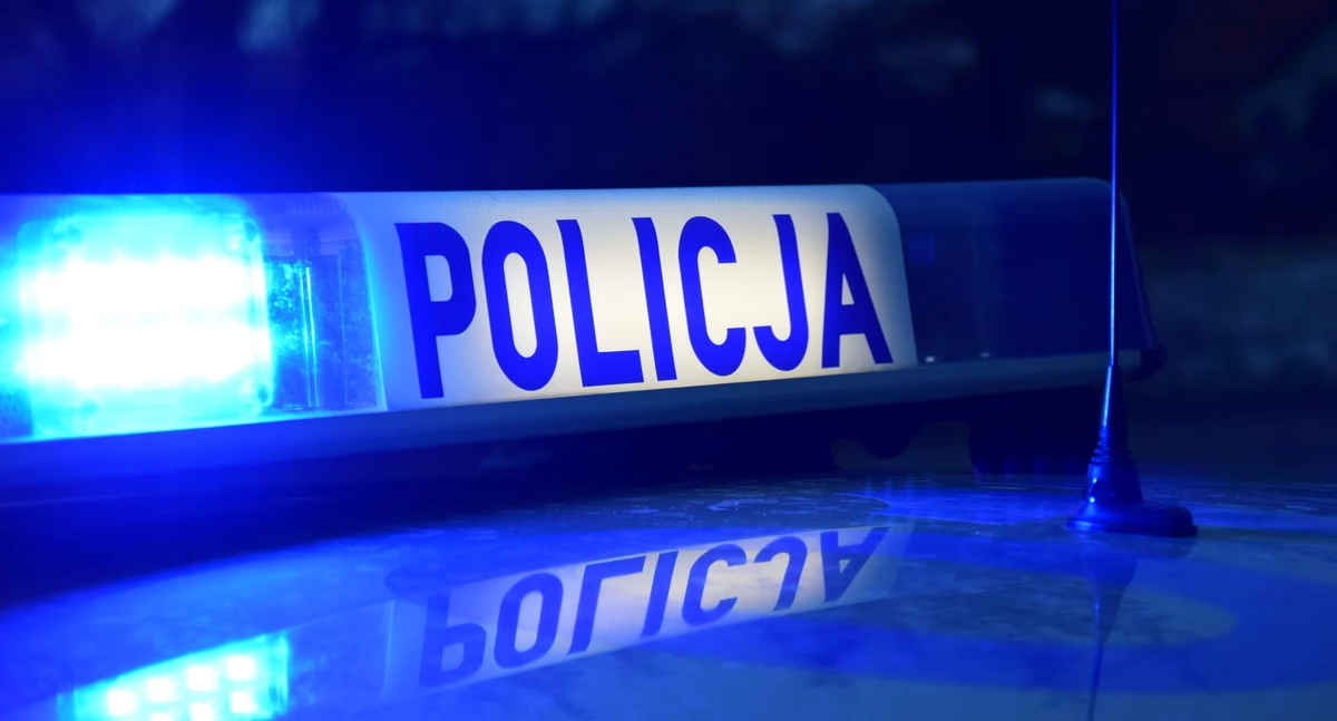 Pięciu poszukiwanych zatrzymanych przez starachowickich policjantów. Z wyrokiem na koncie