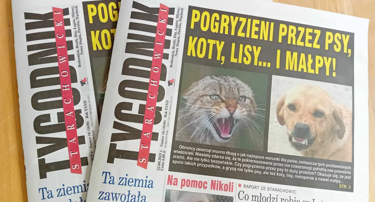 Poświąteczne wydanie Tygodnika Starachowickiego już w kioskach i sklepach