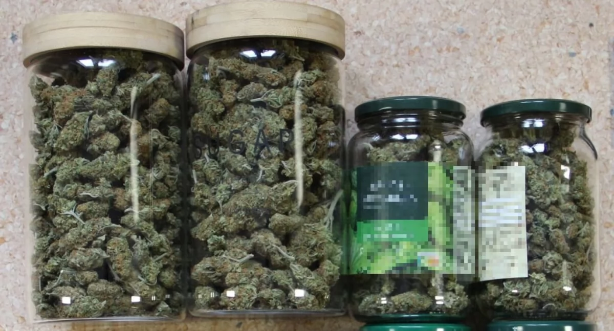 Tymczasowy areszt dla 22-latka ze Starachowic. Policja zabezpieczyła ponad pół kilograma marihuany
