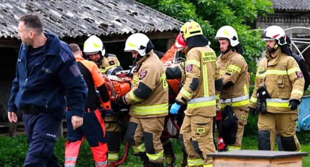 Jest śledztwo po brutalnym ataku psów w gminie Mirzec. Prokuratura Rejonowa gromadzi materiał dowodowy