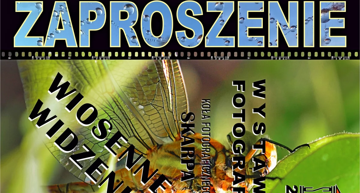 Wiosenne widzenia - wystawa fotografii w SDK