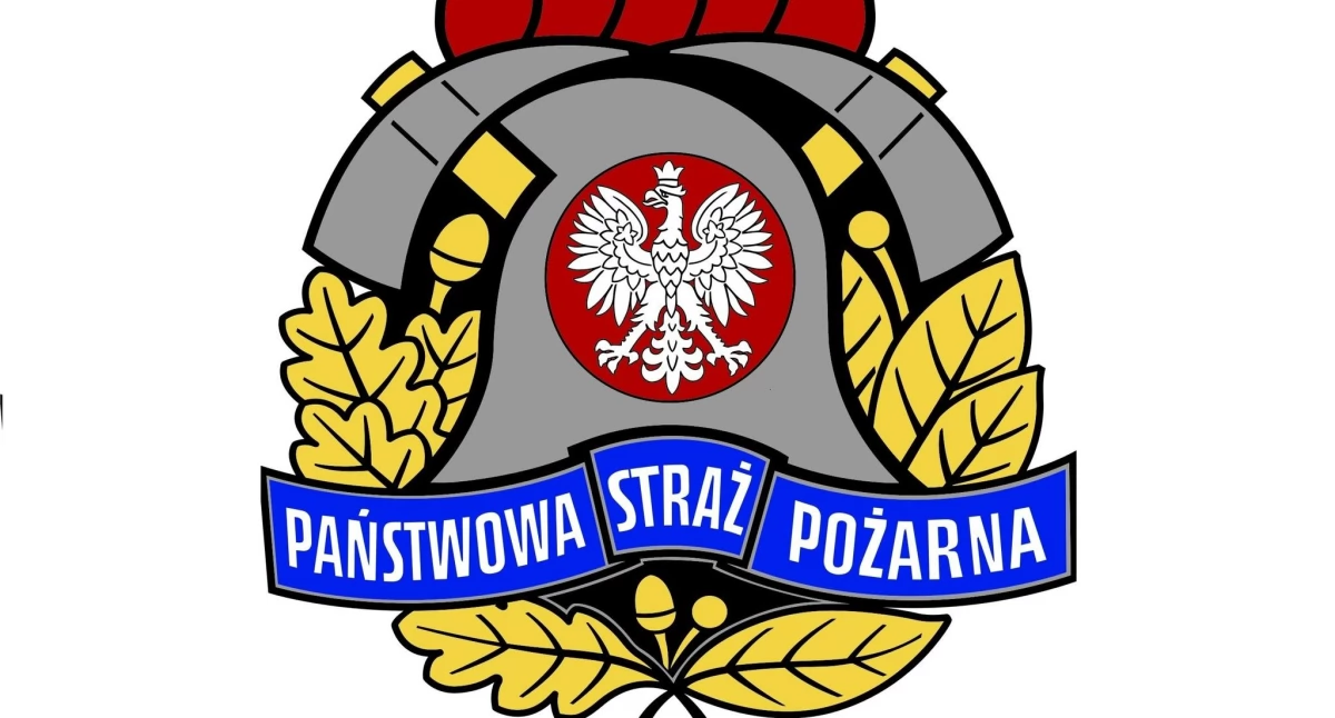 Pożar samochodu na Alei Armii Krajowej w Starachowicach. Kierowca próbował gasić ogień samodzielnie