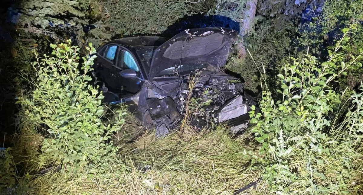 Audi wylądowało w ogródku przy ul. Benedyktyńskiej. Kierowca i pasażerowie uciekli z miejsca zdarzenia