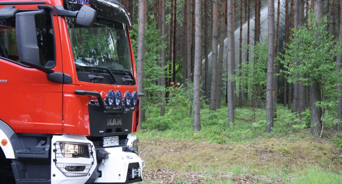 Żmija na terenie szkoły. Konieczna była interwencja straży pożarnej
