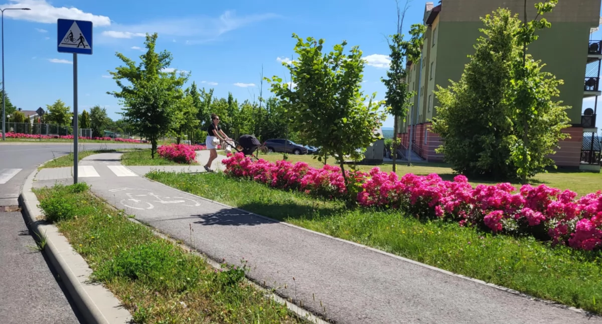 Piękna ozdoba miasta...