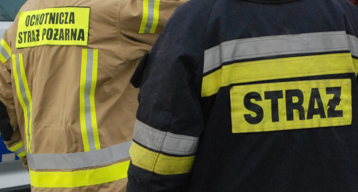 Pożar na terenie gminy Brody. Palą się nieużytki w rejonie torów kolejowych