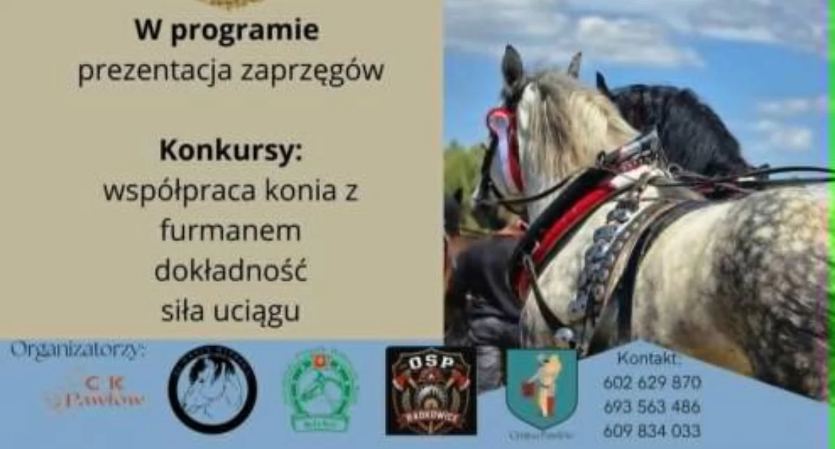 II Świętokrzyskie Zawody Furmanów w gm. Pawłów