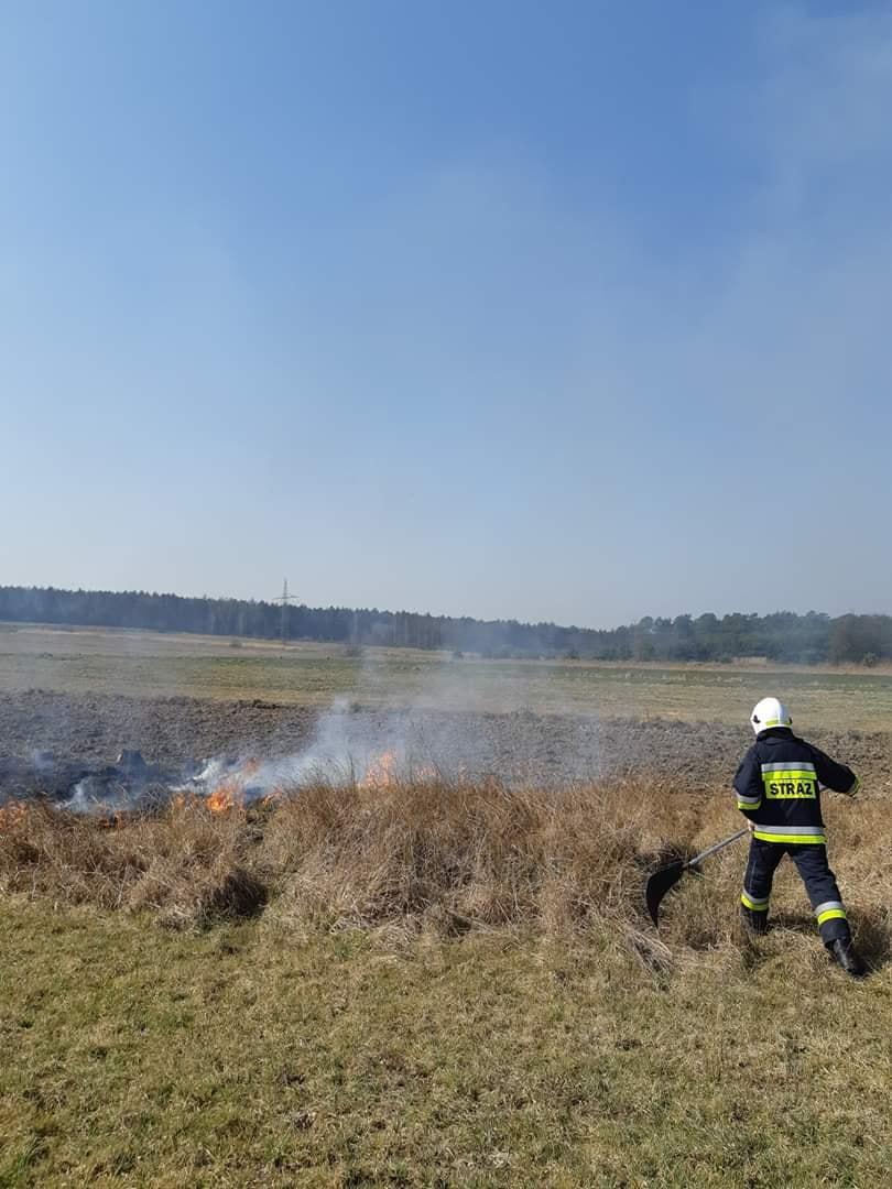 I w końcu doigrał się... Surowa kara wisi nad nim w powietrzu