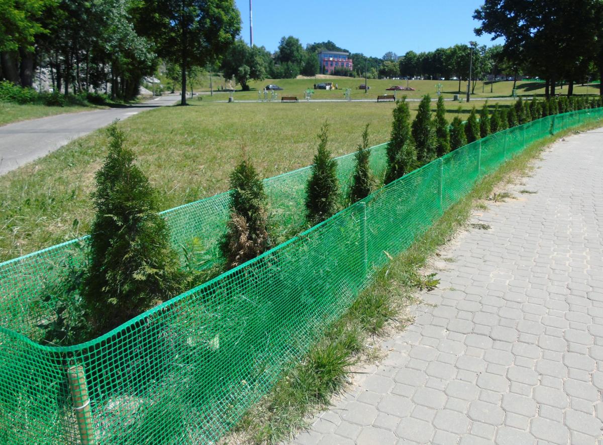 Kolejna pula na pielęgnację zieleni