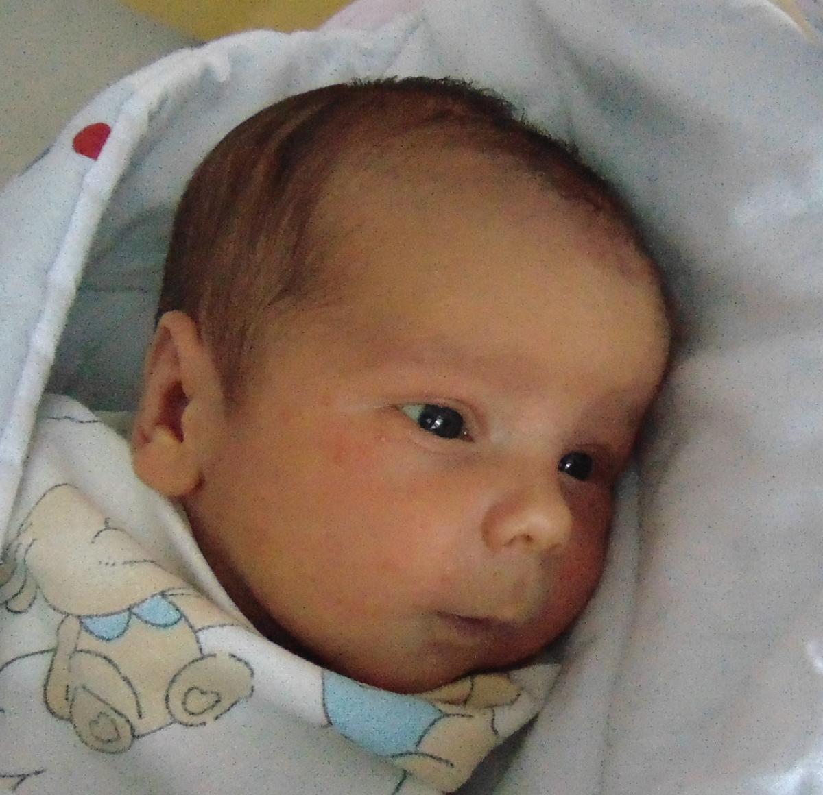 Oskar Polit