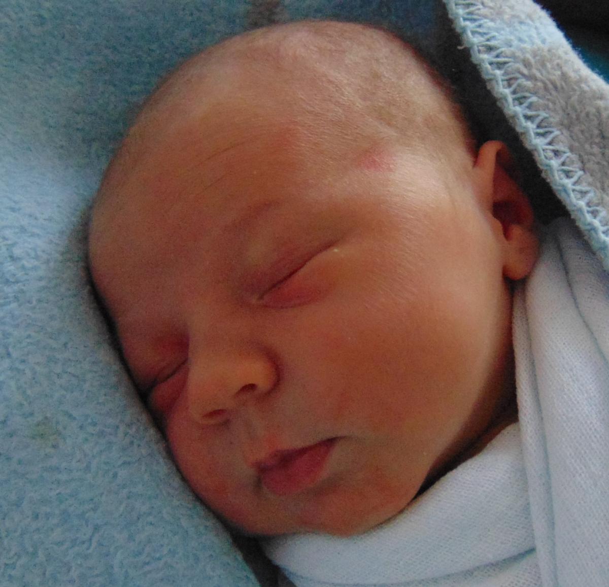 Antoni Warzocha