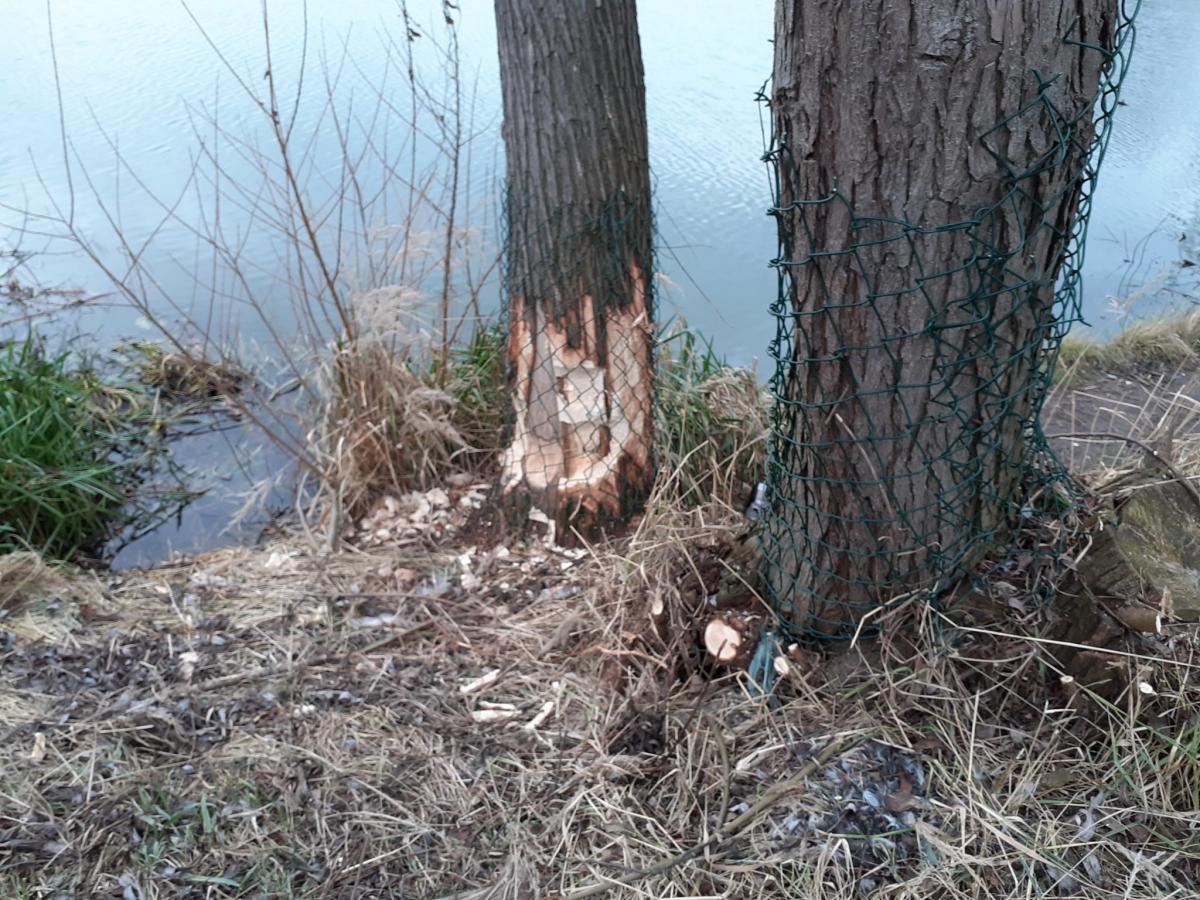 Budynek przy ul. Radomskiej w zagrożeniu. Z jakiego powodu? [ZDJĘCIA]
