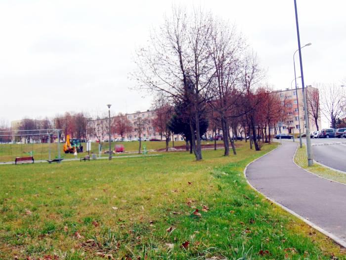 Tuje były i nie ma...