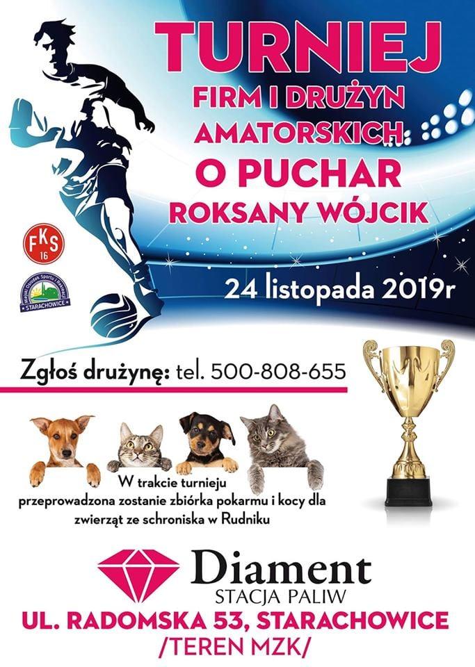 Zagrają w piłkę, a przy okazji pomogą zwierzakom. Zapisy ruszyły [ZDJĘCIA]