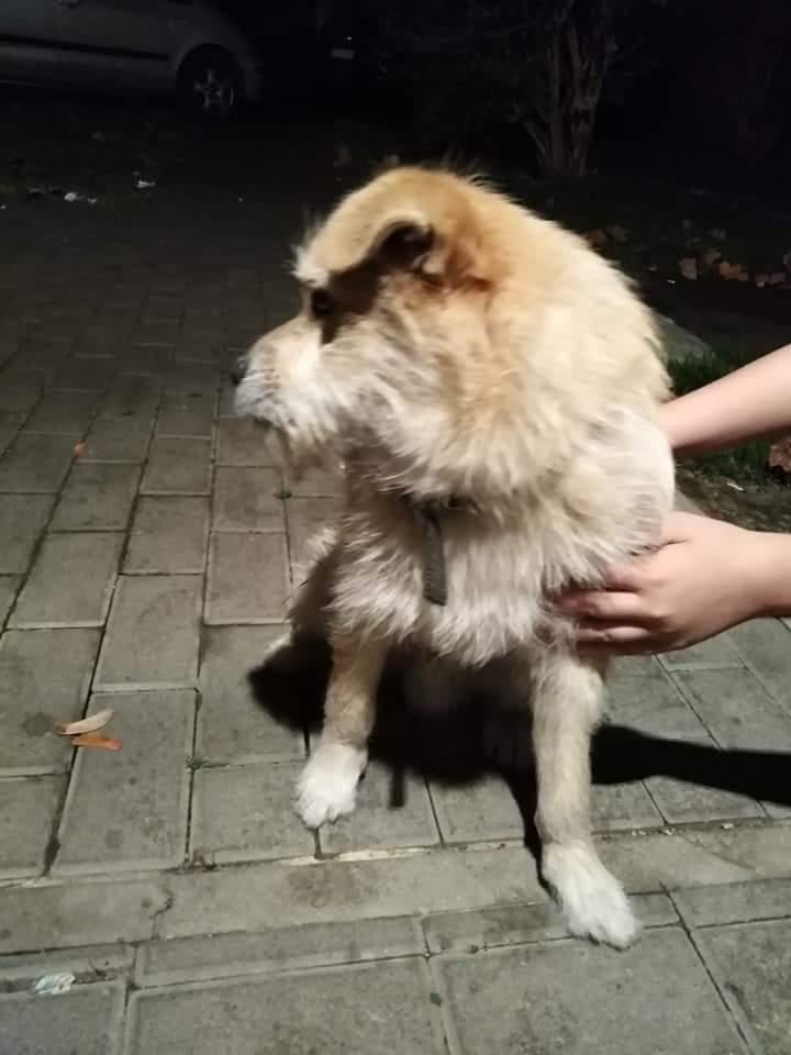 Czyja zguba?