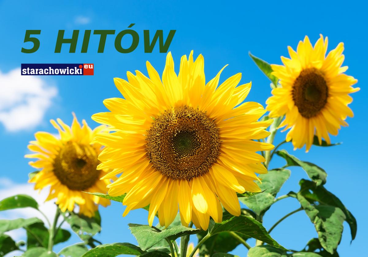 Pięć najciekawszych tekstów września!