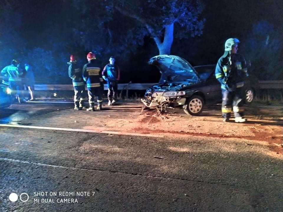 Niebezpieczny finał spotkania z łosiem. Wypadek na pograniczu dwóch powiatów [ZDJĘCIA]