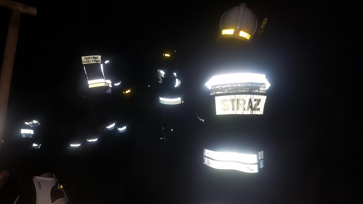 Groźny żywioł w lesie. Poszycie w płomieniach