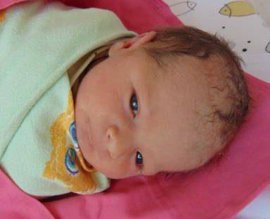 Feliks Kozera
