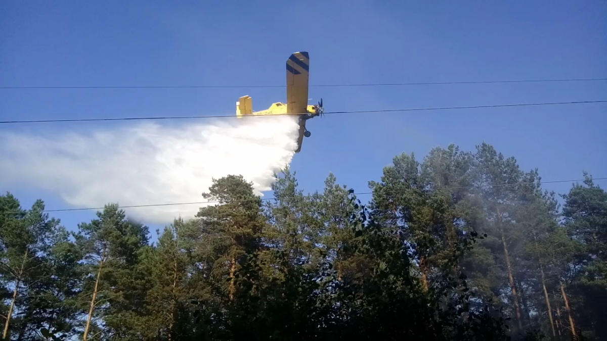 Samolot nad drzewami. Po co? [ZOBACZ ZDJĘCIA Z AKCJI]
