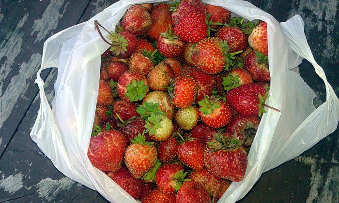 Bez plastikowych opakowań na targu i w 