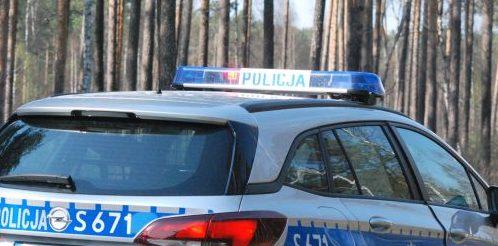 Nie przeszkadzała im nawet obecność domowników. Podczas długiego, majowego weekendu