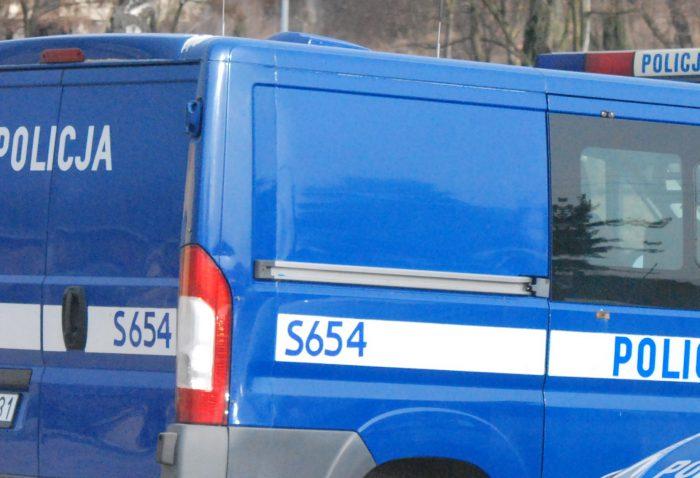Nie przeżyła zderzenia z samochodem. Smutna wiadomość o poranku