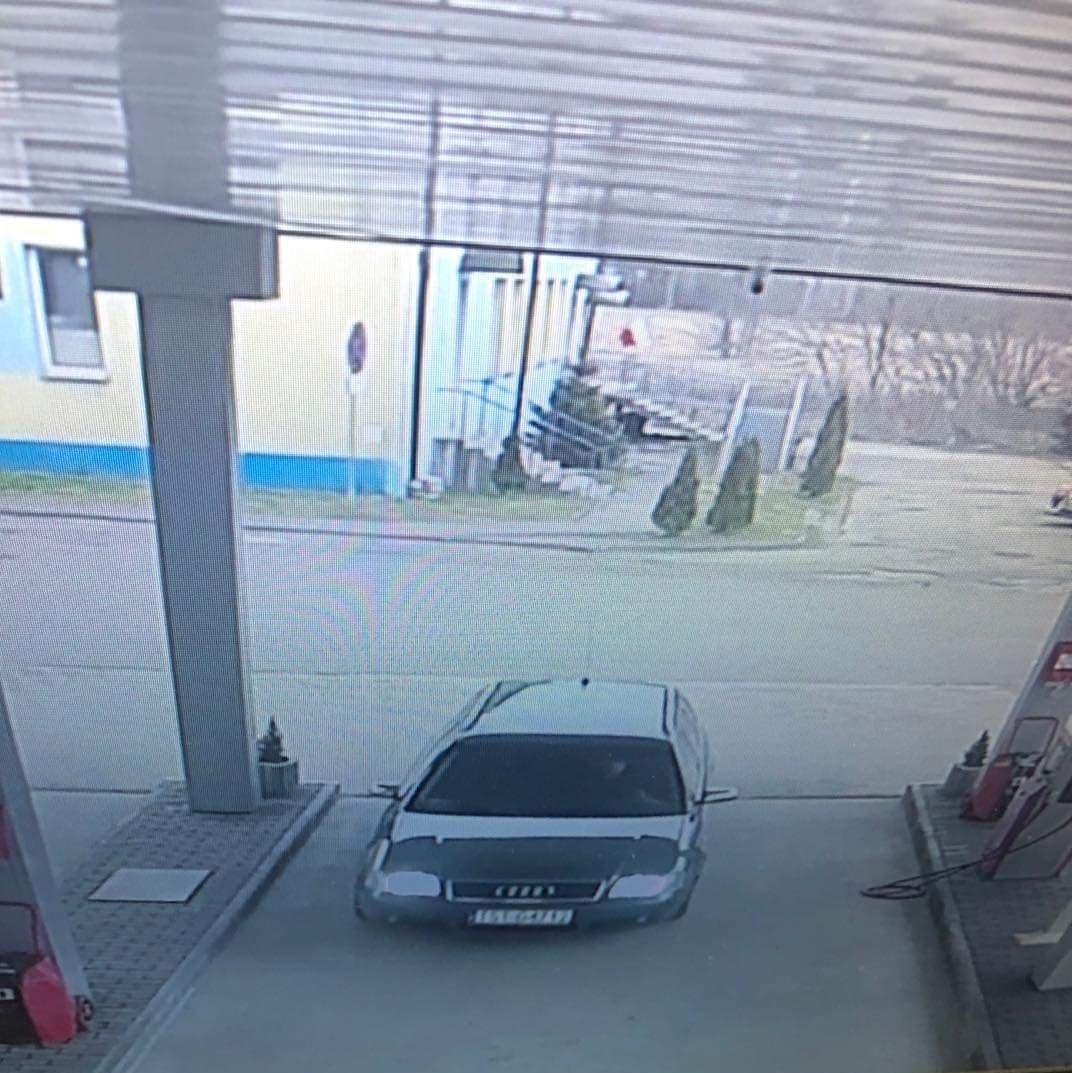 Przechytrzył właściciela. Teraz szuka go starachowicka policja [ZDJĘCIA]