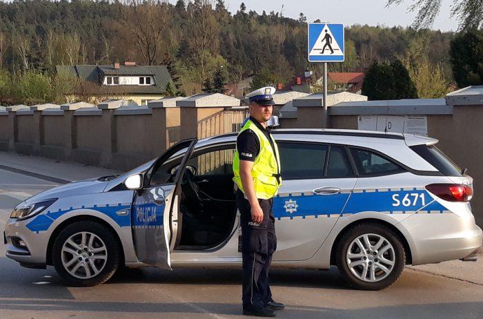 Śmierć na odcinku krajowej 42. Dzikie zwierzę potrącone przez samochód