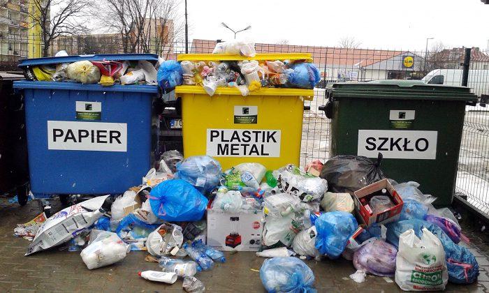 Harmonogram a punkty odbioru
