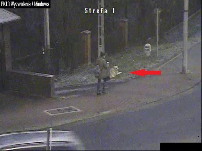 Zapobiegli kolejnym atakom. Mieszkaniec Starachowic ukarany mandatem