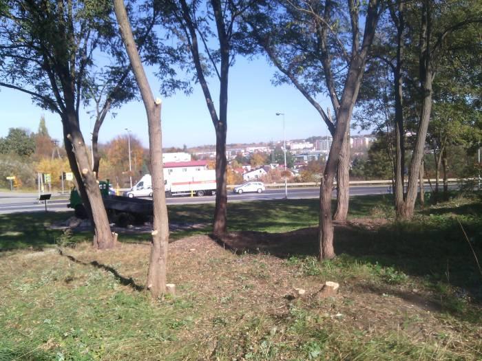 Mieszkańcy ul. Beskidzkiej ubolewają