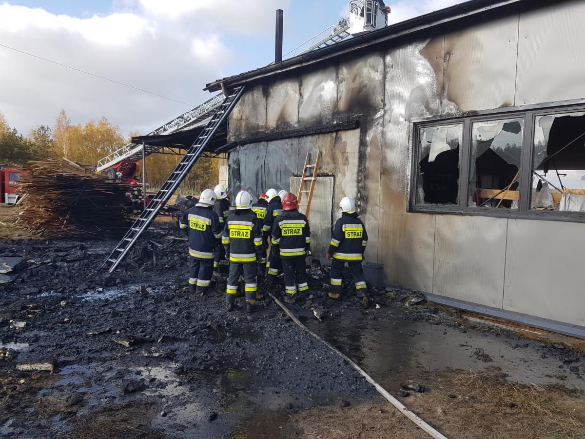 Tartak w potężnym ogniu. Trudna akcja strażaków [ZDJĘCIA]