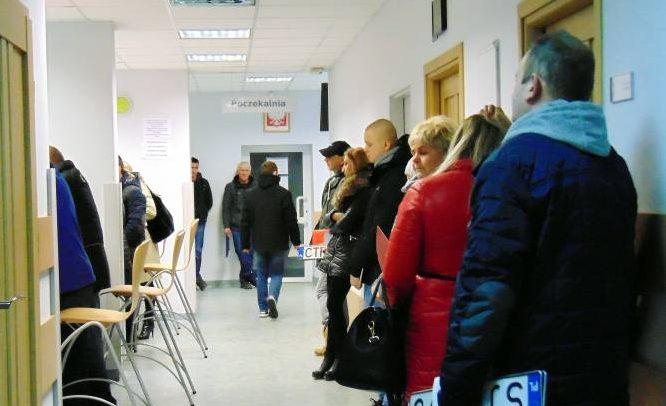 Rejestracja pojazdów i obłęd petentów
