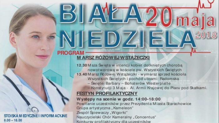 Biała niedziela pod Skałkami