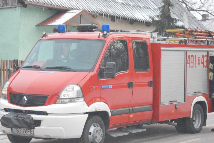 Samica jelenia w niebezpiecznej pułapce. Pomogli strażnicy miejscy oraz strażacy