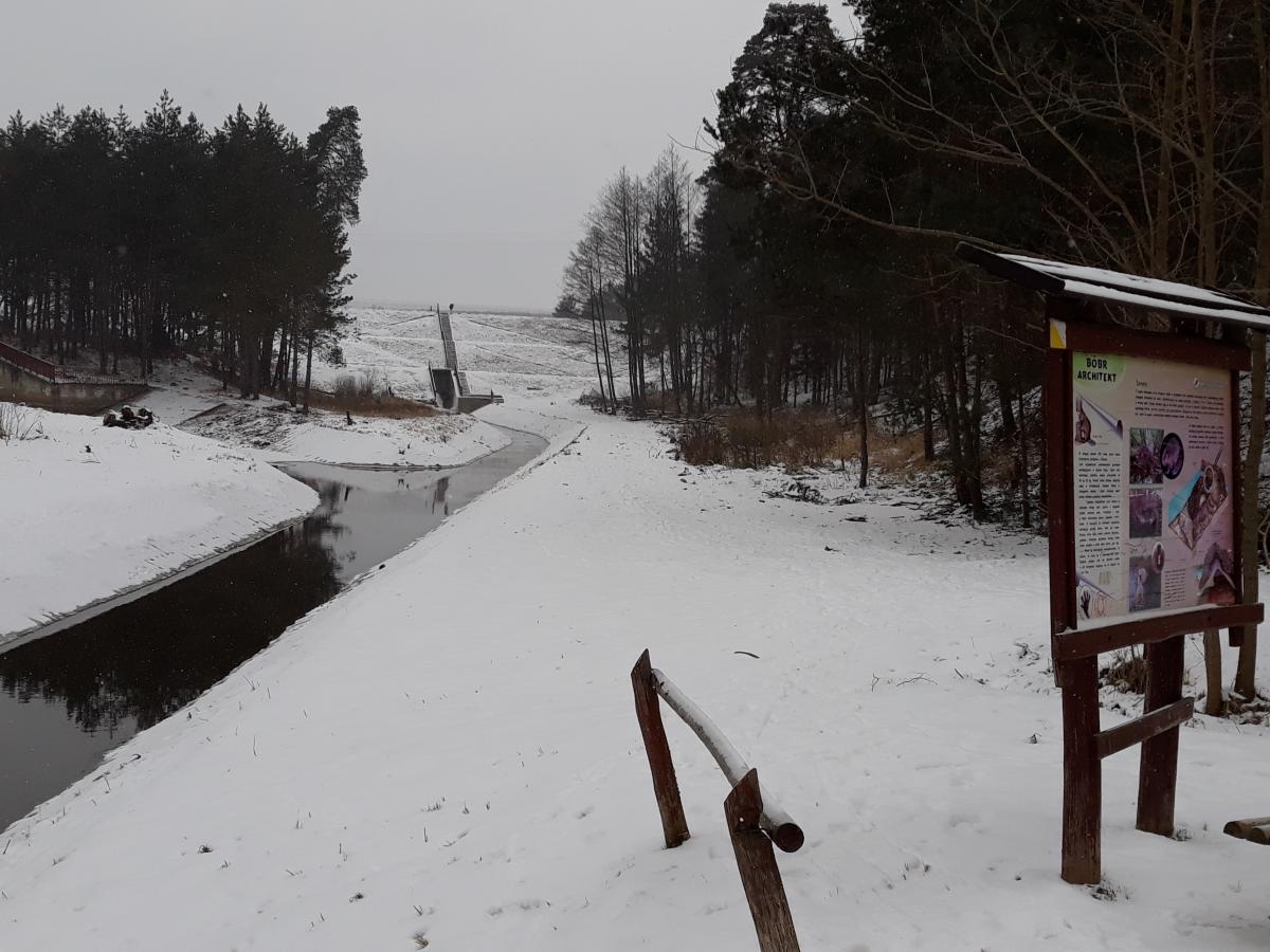 Są wyniki sekcji zwłok, po tragicznej śmierci w południowej części miasta