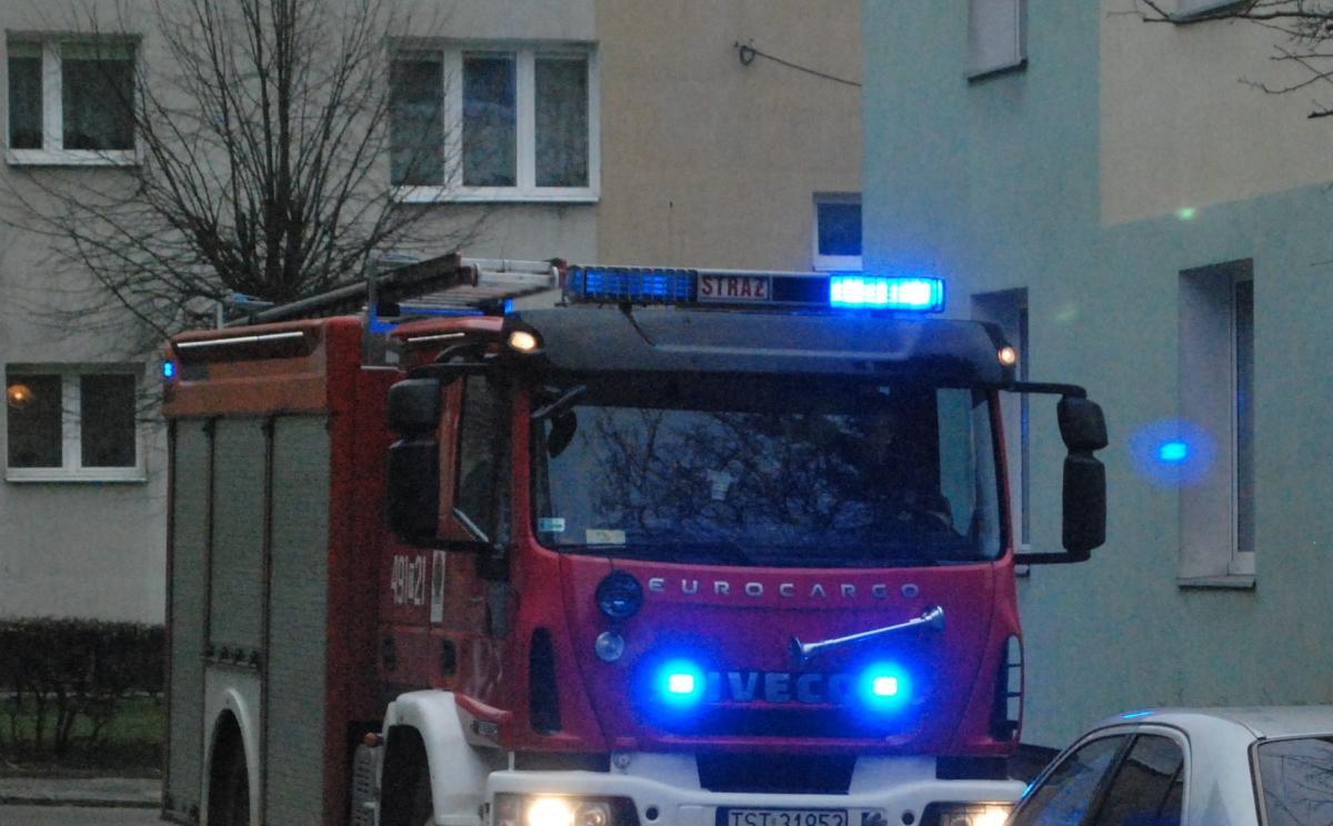 Co zaniepokoiło pracownika starachowickiego MOPS-u?