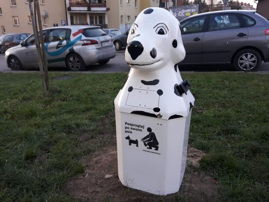 Psy na kupy w Starachowicach