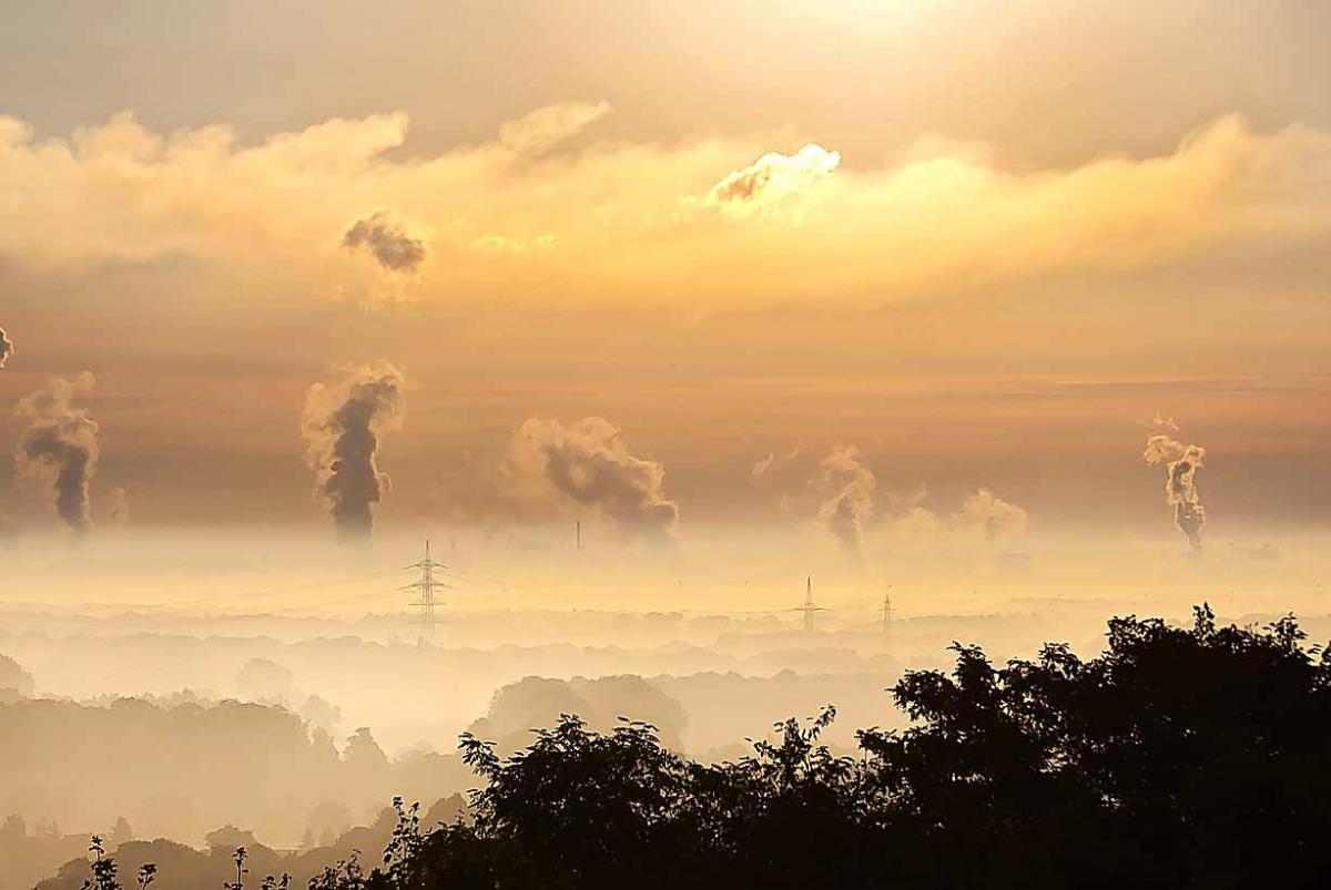 Trwa walka ze smogiem - strażnicy kontrolują
