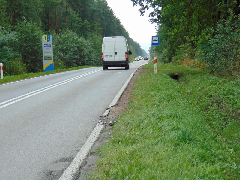 Śmierć czyhała na drodze