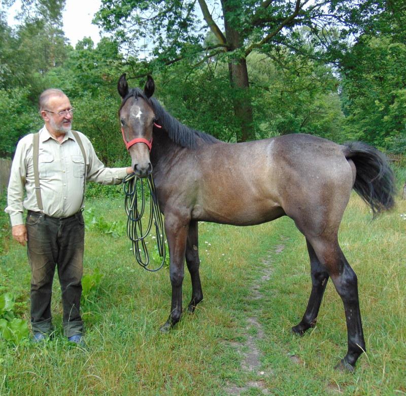 Konie są bodźcem do życia