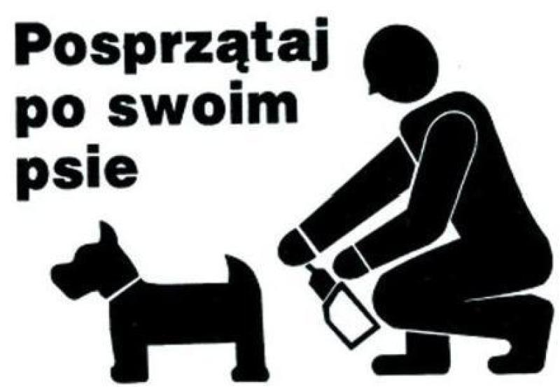 Gdzie z psem na spacer?