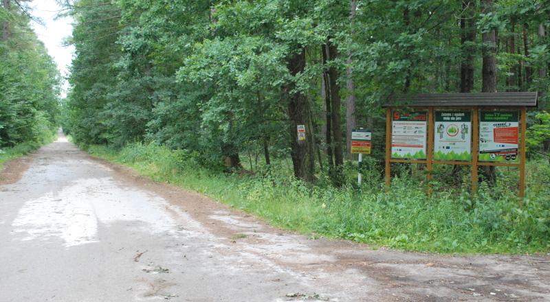 Myśliwska broń, strzał i zagadkowa śmierć