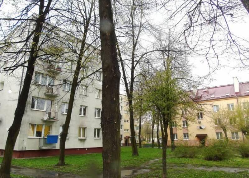 Drzewa zostaną wycięte