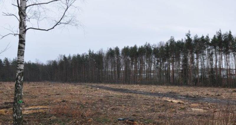 Ruszają prace na cmentarzu