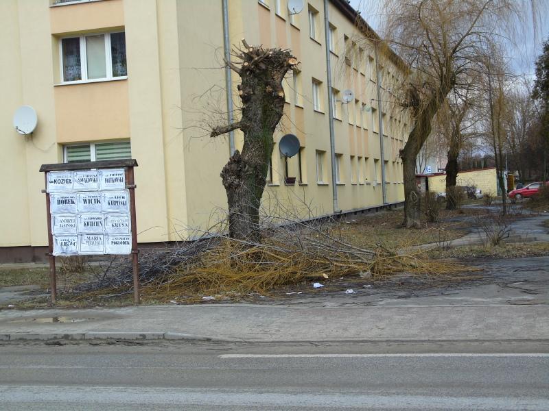 Wiosennych porządków czas